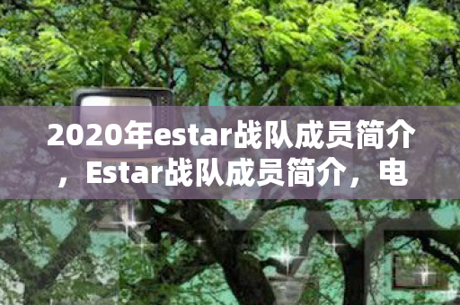 2020年estar战队成员简介，Estar战队成员简介，电竞之星，逐梦之旅