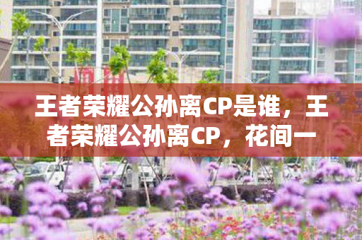 王者荣耀公孙离CP是谁，王者荣耀公孙离CP，花间一梦，情深缘浅