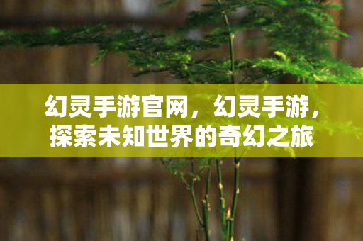 幻灵手游官网，幻灵手游，探索未知世界的奇幻之旅