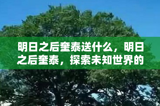 明日之后奎泰送什么，明日之后奎泰，探索未知世界的奇妙之旅