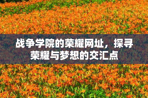 战争学院的荣耀网址，探寻荣耀与梦想的交汇点
