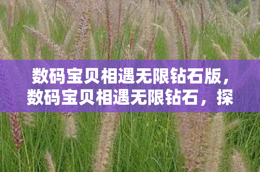 数码宝贝相遇无限钻石版,数码宝贝相遇无限钻石,探索虚拟世界的无限可能 数码宝贝相遇无限钻石版,数码宝贝相遇无限钻石,探索虚拟世界的无限可能