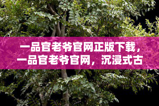 一品官老爷官网正版下载,一品官老爷官网,沉浸式古风体验,领略古代官场风采 一品官老爷官网正版下载,一品官老爷官网,沉浸式古风体验,领略古代官场风采