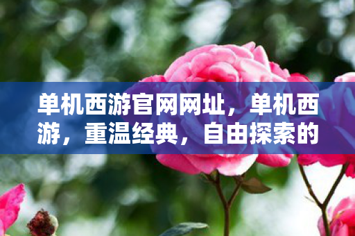 单机西游官网网址，单机西游，重温经典，自由探索的单机游戏世界