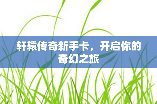 轩辕传奇新手卡，开启你的奇幻之旅