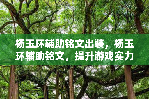 杨玉环辅助铭文出装,杨玉环辅助铭文,提升游戏实力,打造完美辅助 杨玉环辅助铭文出装,杨玉环辅助铭文,提升游戏实力,打造完美辅助
