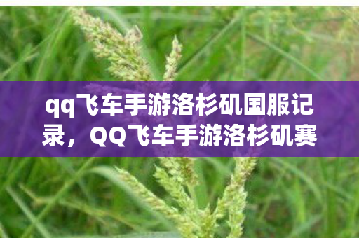 qq飞车手游洛杉矶国服记录,QQ飞车手游洛杉矶赛道技巧解析 qq飞车手游洛杉矶国服记录,QQ飞车手游洛杉矶赛道技巧解析