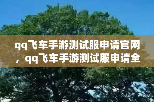 qq飞车手游测试服申请官网,qq飞车手游测试服申请全攻略 qq飞车手游测试服申请官网,qq飞车手游测试服申请全攻略