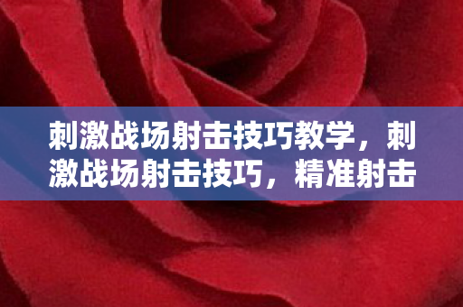 刺激战场射击技巧教学，刺激战场射击技巧，精准射击与战术运用