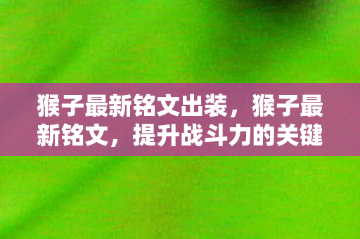 猴子最新铭文出装，猴子最新铭文，提升战斗力的关键