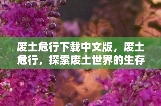 废土危行下载中文版,废土危行,探索废土世界的生存挑战 废土危行下载中文版,废土危行,探索废土世界的生存挑战