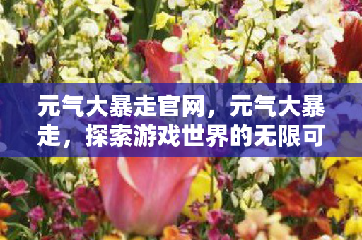 元气大暴走官网，元气大暴走，探索游戏世界的无限可能