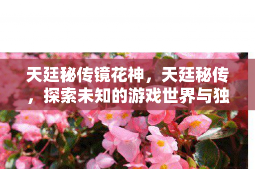 天廷秘传镜花神，天廷秘传，探索未知的游戏世界与独特玩法