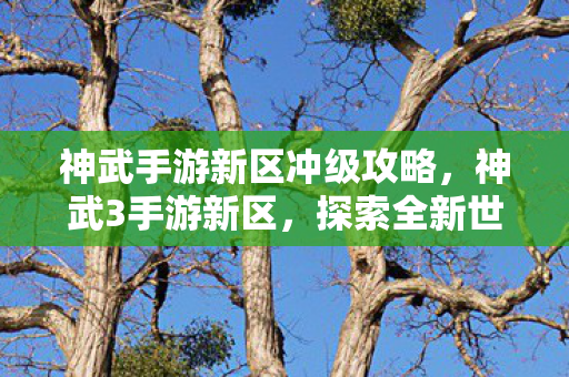 神武手游新区冲级攻略,神武3手游新区,探索全新世界的奇妙之旅 神武手游新区冲级攻略,神武3手游新区,探索全新世界的奇妙之旅