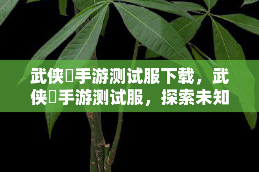 武侠乂手游测试服下载,武侠乂手游测试服,探索未知江湖,体验全新武侠世界 武侠乂手游测试服下载,武侠乂手游测试服,探索未知江湖,体验全新武侠世界