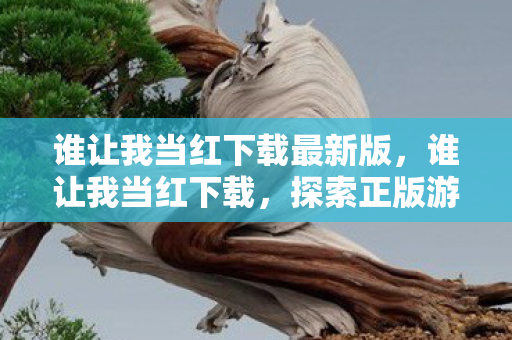 谁让我当红下载最新版，谁让我当红下载，探索正版游戏的魅力与未来