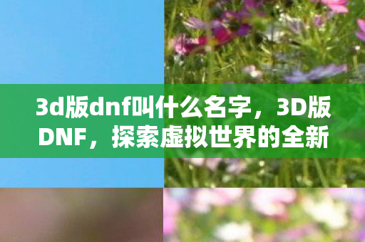 3d版dnf叫什么名字，3D版DNF，探索虚拟世界的全新冒险