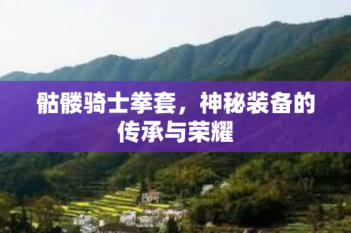 骷髅骑士拳套，神秘装备的传承与荣耀