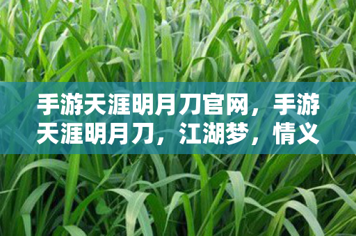 手游天涯明月刀官网，手游天涯明月刀，江湖梦，情义长