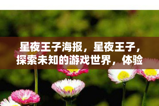 星夜王子海报，星夜王子，探索未知的游戏世界，体验不一样的冒险之旅