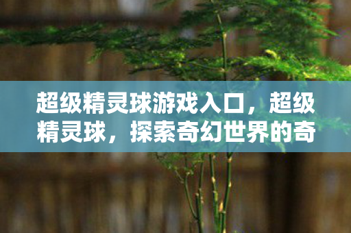 超级精灵球游戏入口，超级精灵球，探索奇幻世界的奇妙之旅