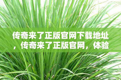传奇来了正版官网下载地址，传奇来了正版官网，体验真正的经典，拒绝私服诱惑