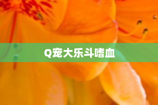 Q宠大乐斗嗜血