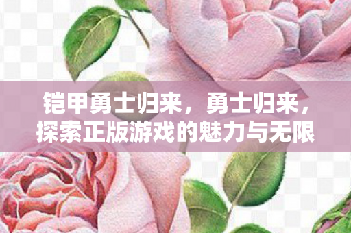 铠甲勇士归来，勇士归来，探索正版游戏的魅力与无限可能