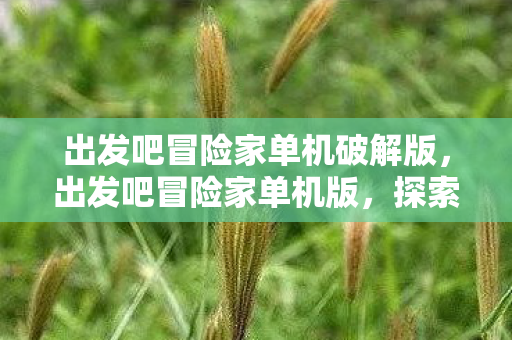 出发吧冒险家单机破解版，出发吧冒险家单机版，探索未知世界的奇妙之旅