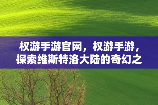 权游手游官网，权游手游，探索维斯特洛大陆的奇幻之旅