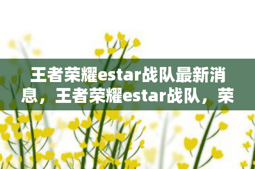 王者荣耀estar战队最新消息，王者荣耀estar战队，荣耀背后的坚持与努力