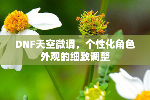 DNF天空微调，个性化角色外观的细致调整