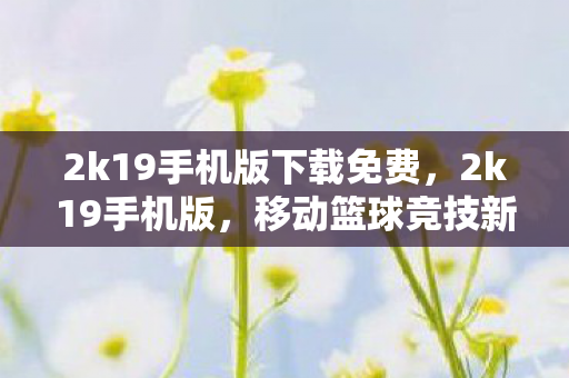 2k19手机版下载免费，2k19手机版，移动篮球竞技新体验