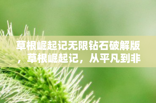 草根崛起记无限钻石破解版，草根崛起记，从平凡到非凡的奋斗历程