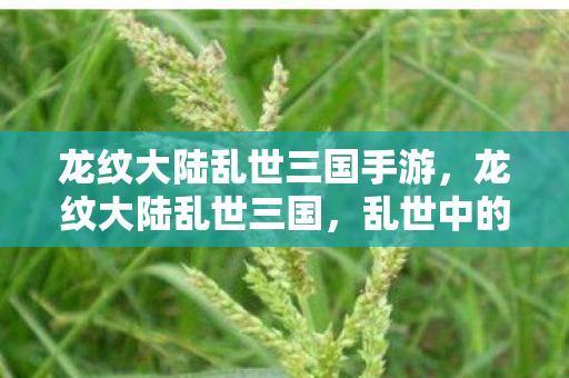 龙纹大陆乱世三国手游，龙纹大陆乱世三国，乱世中的英雄与智谋