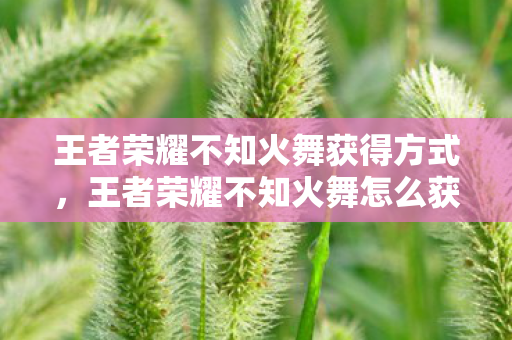 王者荣耀不知火舞获得方式，王者荣耀不知火舞怎么获得