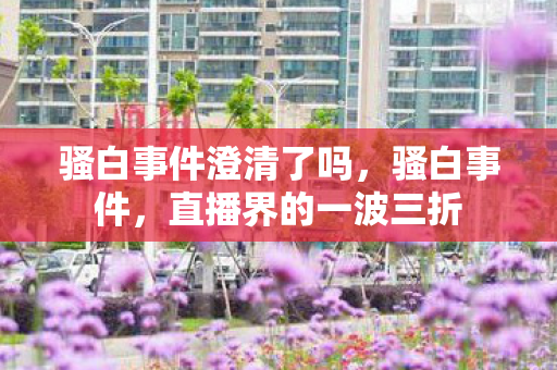 骚白事件澄清了吗，骚白事件，直播界的一波三折