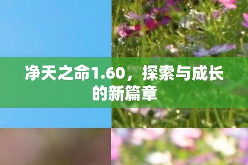 净天之命1.60，探索与成长的新篇章