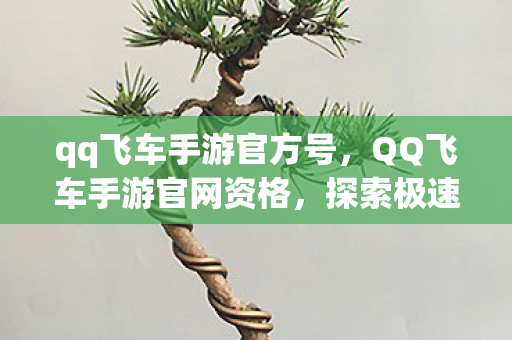 qq飞车手游官方号，QQ飞车手游官网资格，探索极速之旅的通行证