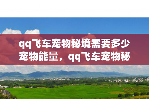 qq飞车宠物秘境需要多少宠物能量，qq飞车宠物秘境，探索神秘领域，解锁宠物新体验