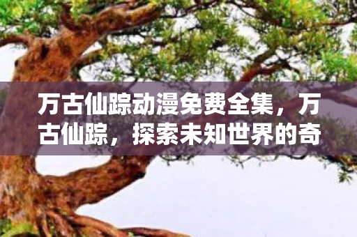 万古仙踪动漫免费全集，万古仙踪，探索未知世界的奇幻之旅
