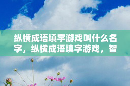 纵横成语填字游戏叫什么名字，纵横成语填字游戏，智慧与文化的碰撞