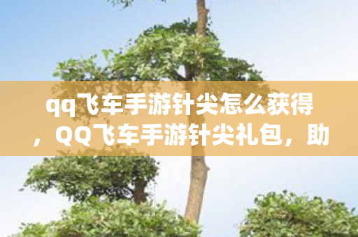 qq飞车手游针尖怎么获得，QQ飞车手游针尖礼包，助力玩家驰骋赛道