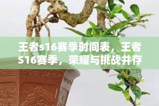 王者s16赛季时间表，王者S16赛季，荣耀与挑战并存的赛季时间
