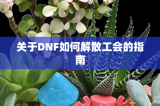 关于DNF如何解散工会的指南