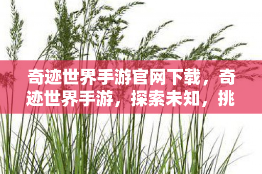 奇迹世界手游官网下载，奇迹世界手游，探索未知，挑战极限的奇幻之旅