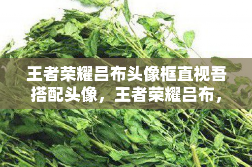 王者荣耀吕布头像框直视吾搭配头像，王者荣耀吕布，战魂无双的战神形象