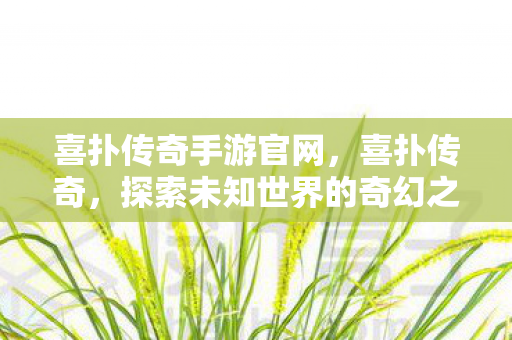 喜扑传奇手游官网，喜扑传奇，探索未知世界的奇幻之旅