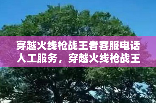 穿越火线枪战王者客服电话人工服务，穿越火线枪战王者，客服热线，您的游戏守护者
