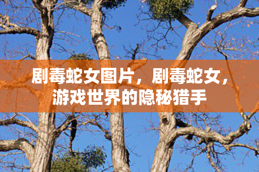 剧毒蛇女图片，剧毒蛇女，游戏世界的隐秘猎手